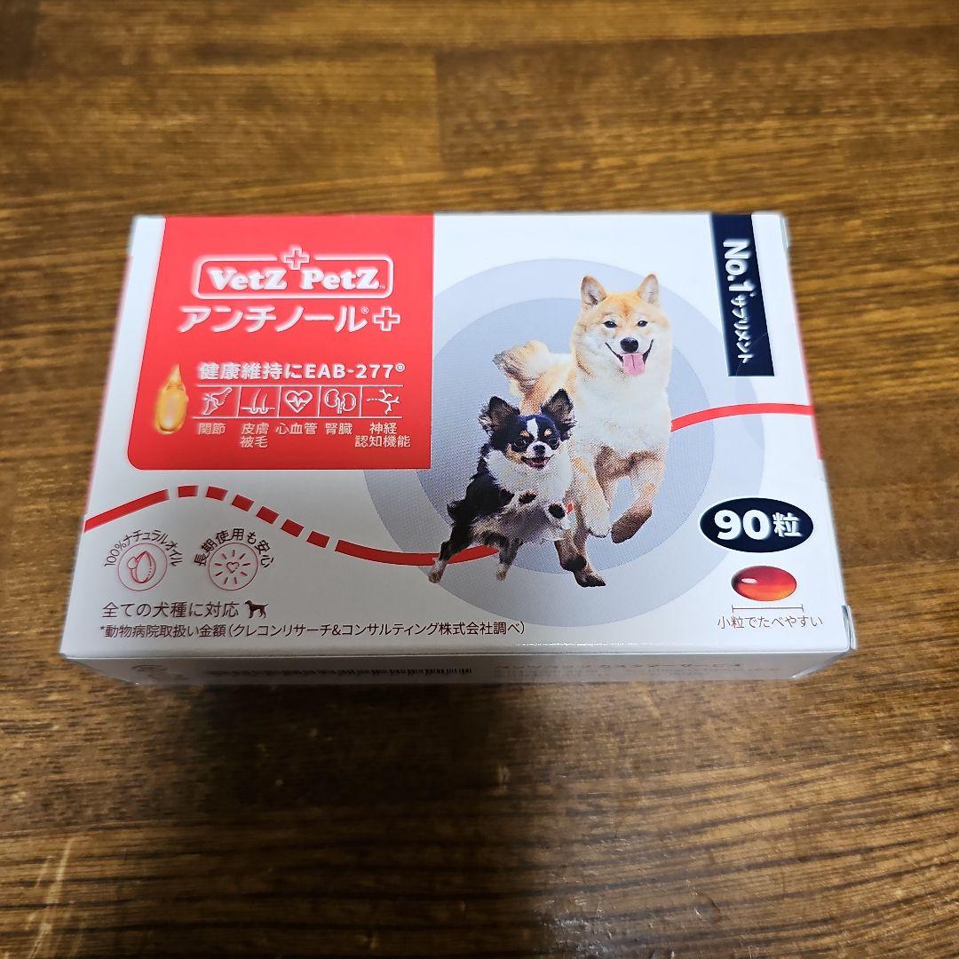 レア】SPIKY LANE スパイキーブラザーズ（山中さわお兄弟ユニット） CD