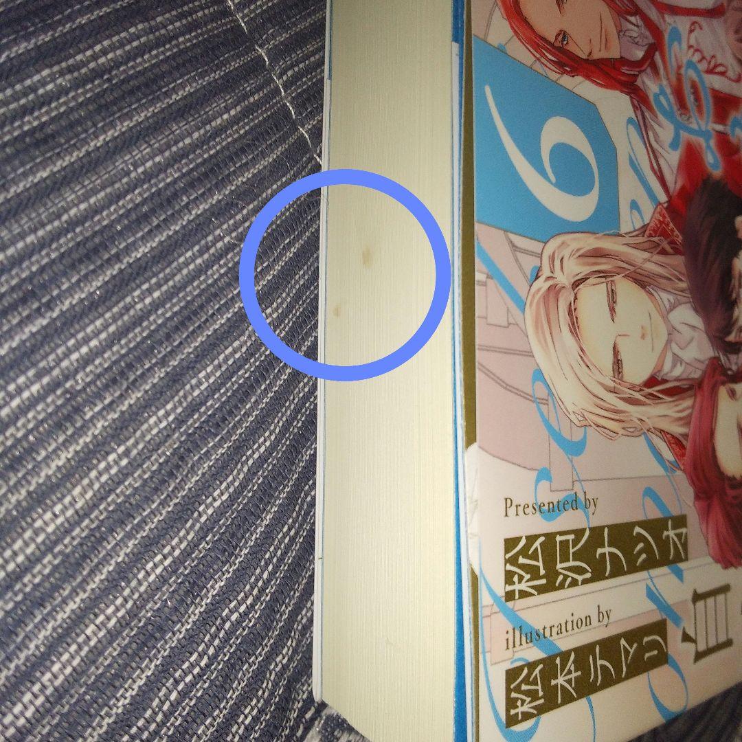 異世界でおまけの兄さん自立を目指す　全巻セット