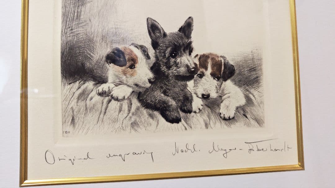 ヴィンテージ銅版画 Kurt Meyer Eberhardt 「3匹のテリア犬」