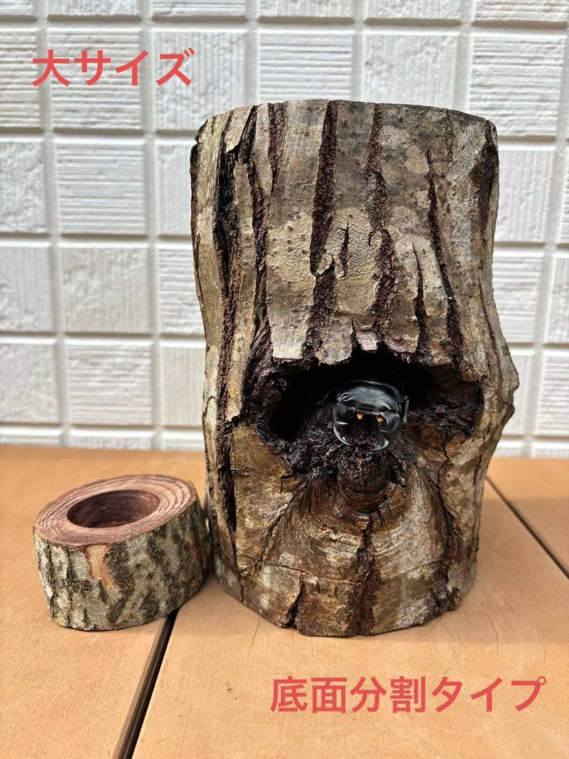 クワガタ隠れ家、クワリウム、クワガタ登り木、昆虫ゼリー台、樹洞