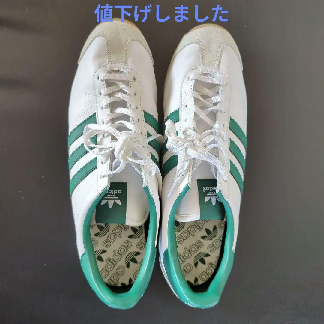 フェレットの臨床Amazon.co.jp: ウサギとフェレットの診断・治療ガイド