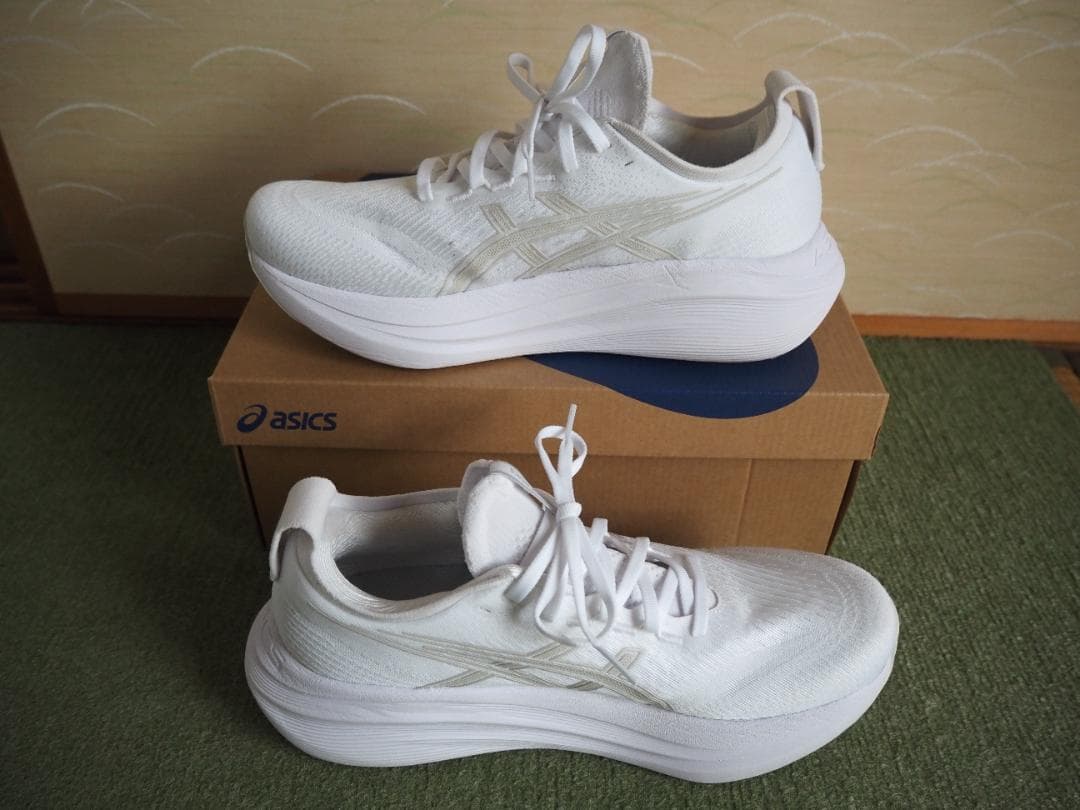 ASICS GEL-NIMBUS 27　ゲルニンバス27 27.0cm