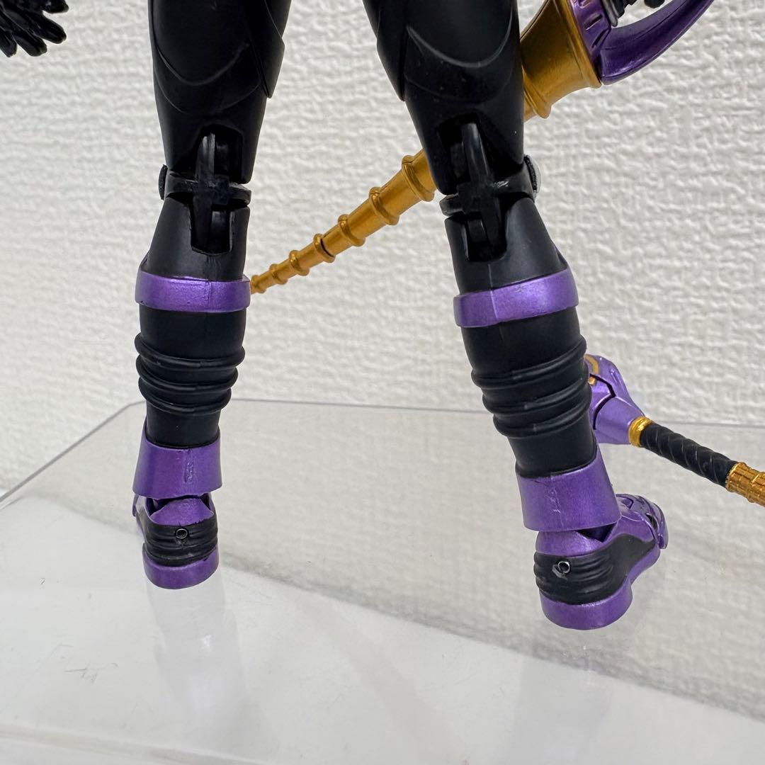 S.H.Figuarts 仮面ライダー王蛇&ナイト 2種セット