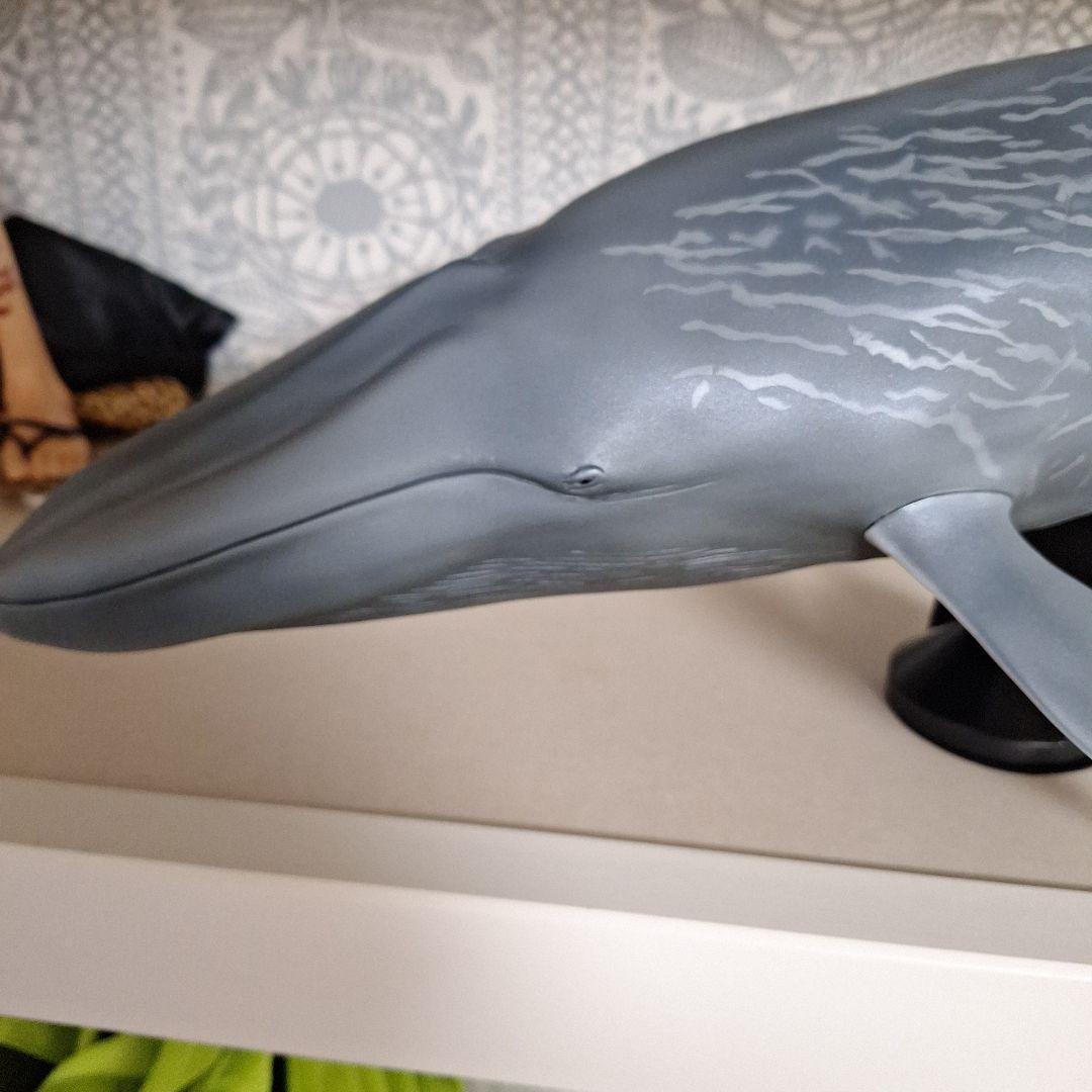 海洋堂 巨大フィギュア 全長70cm以上! シロナガスクジラ - メルカリ