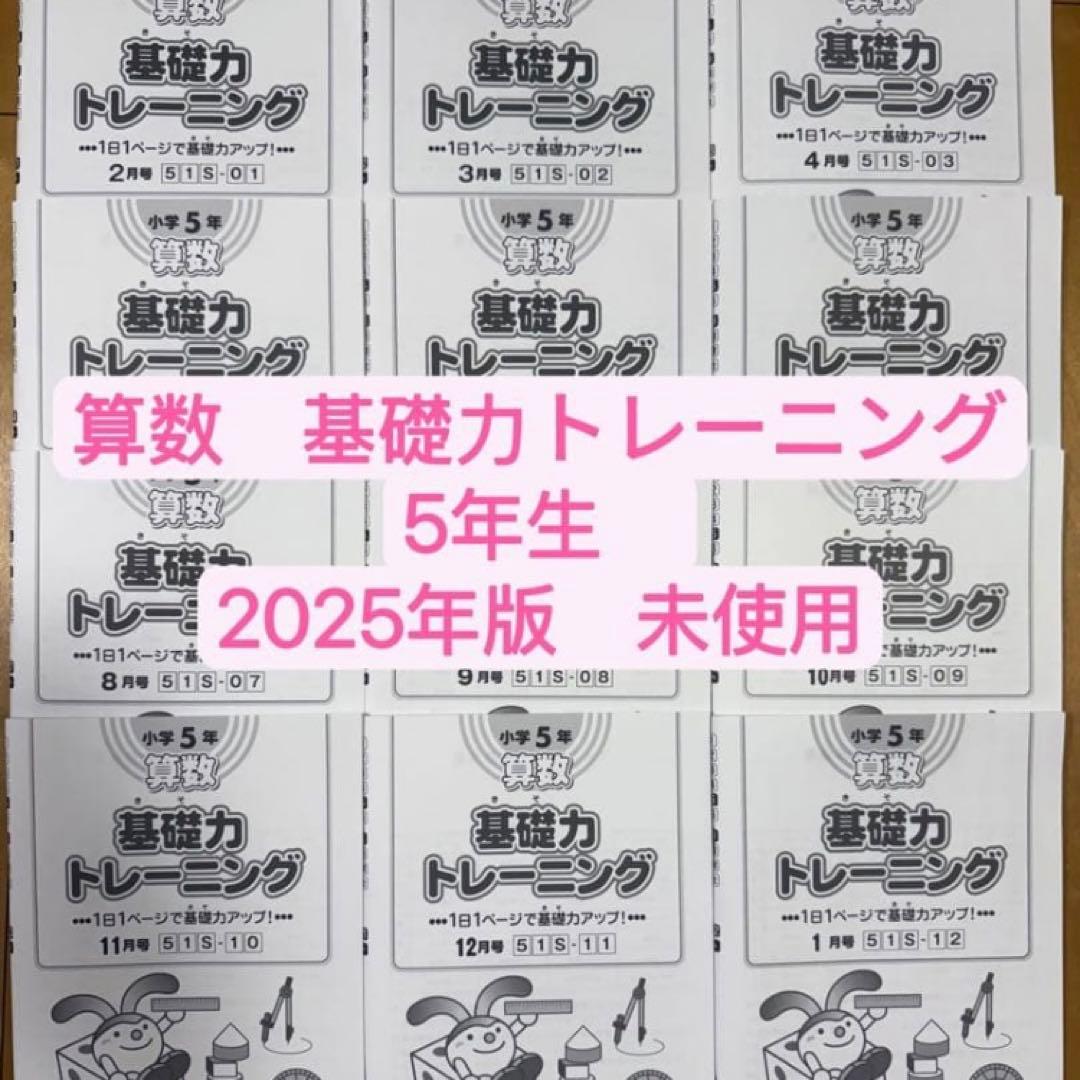未使用　サピックスsapix 算数　基礎力トレーニング　5年　12冊　最新 SAPIXサピックス 5年算数 基礎力トレーニング全12冊 2月〜1月分 - メルカリ