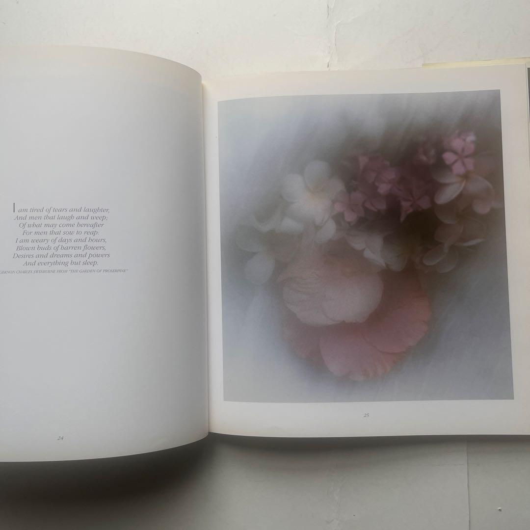 s*y様 希少、　デビットハミルトン写真集4冊組