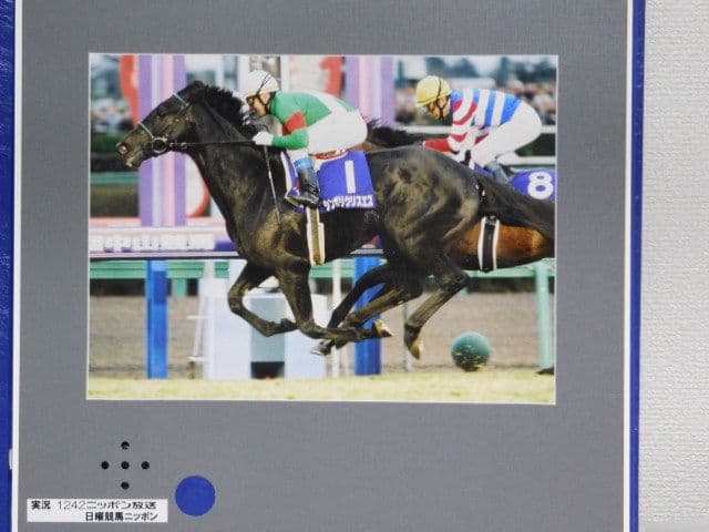 シンボリクリスエス 第47回有馬記念実況放送付アルバム 2002 オリビア