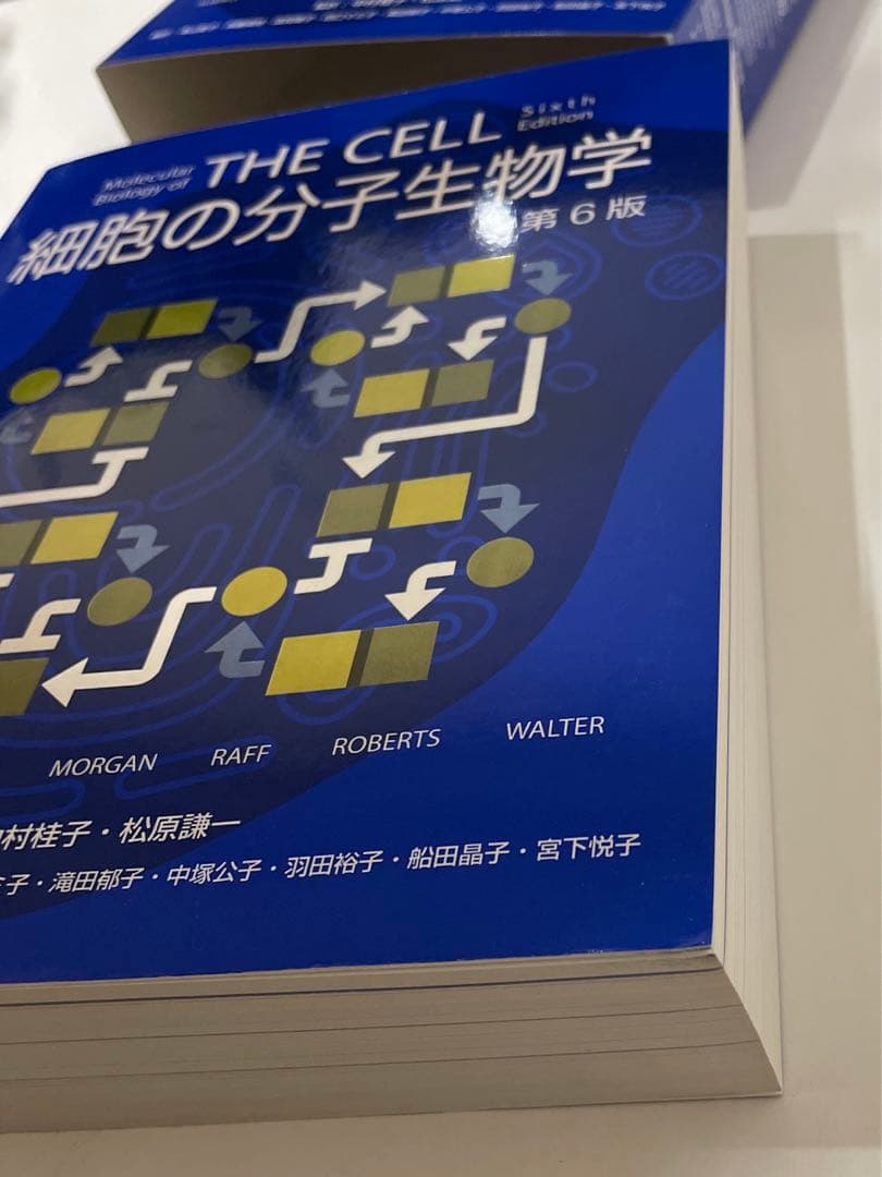THE CELL 細胞の分子生物学 第6版 カバー付き 日本語版 - メルカリ