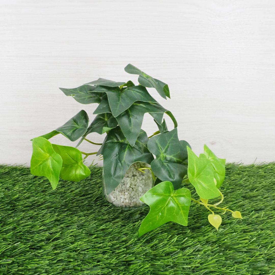 ⭐️LUMIX G VARIO 12-32mm F3.5-5.6 ズームレンズ