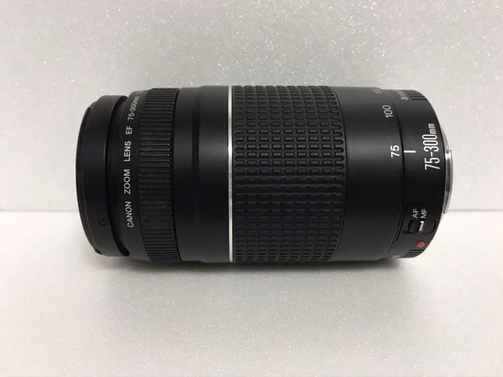 大迫力の300㎜☆ イベント☆キャノン Canon EF75-300㎜ Amazon | Canon キヤノン ズームレンズ EF 75-300mm F4-5.6 Ⅱ USM
