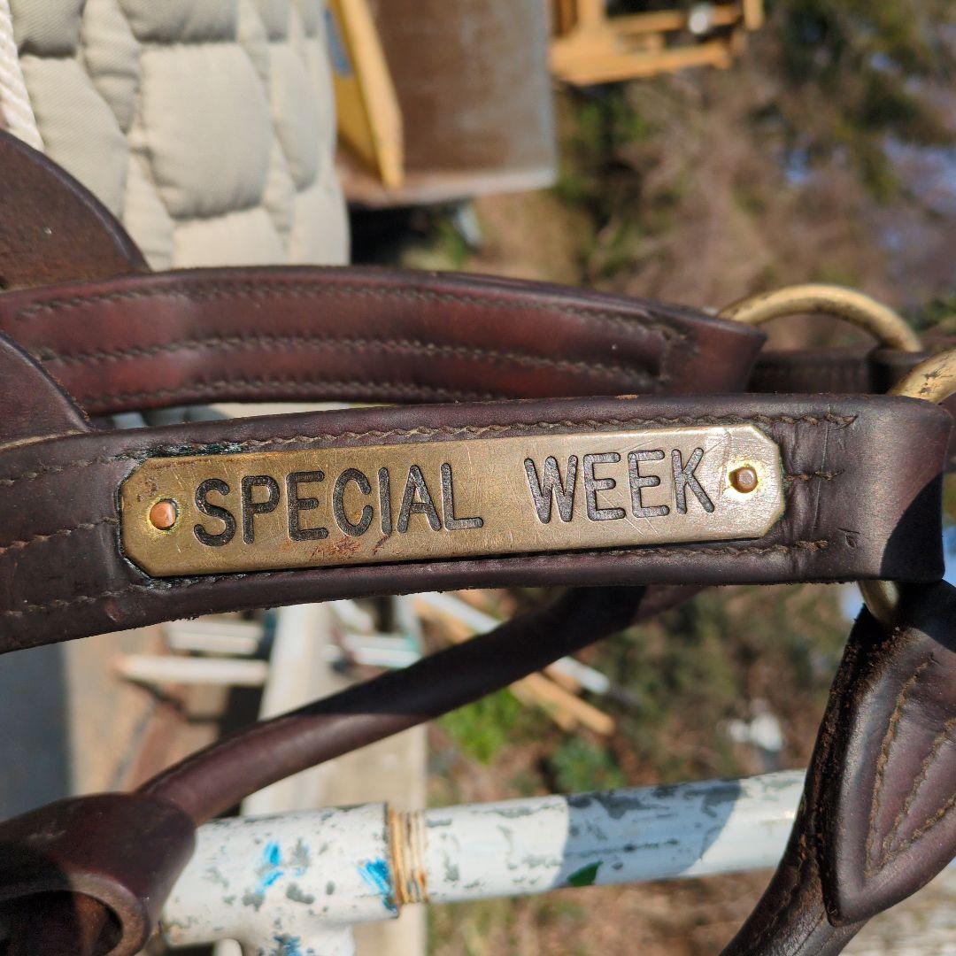 く*ろ様 競走馬　スペシャルウィーク　無口 スペシャルウィーク｜名馬メモリアル｜競馬情報ならJRA-VAN