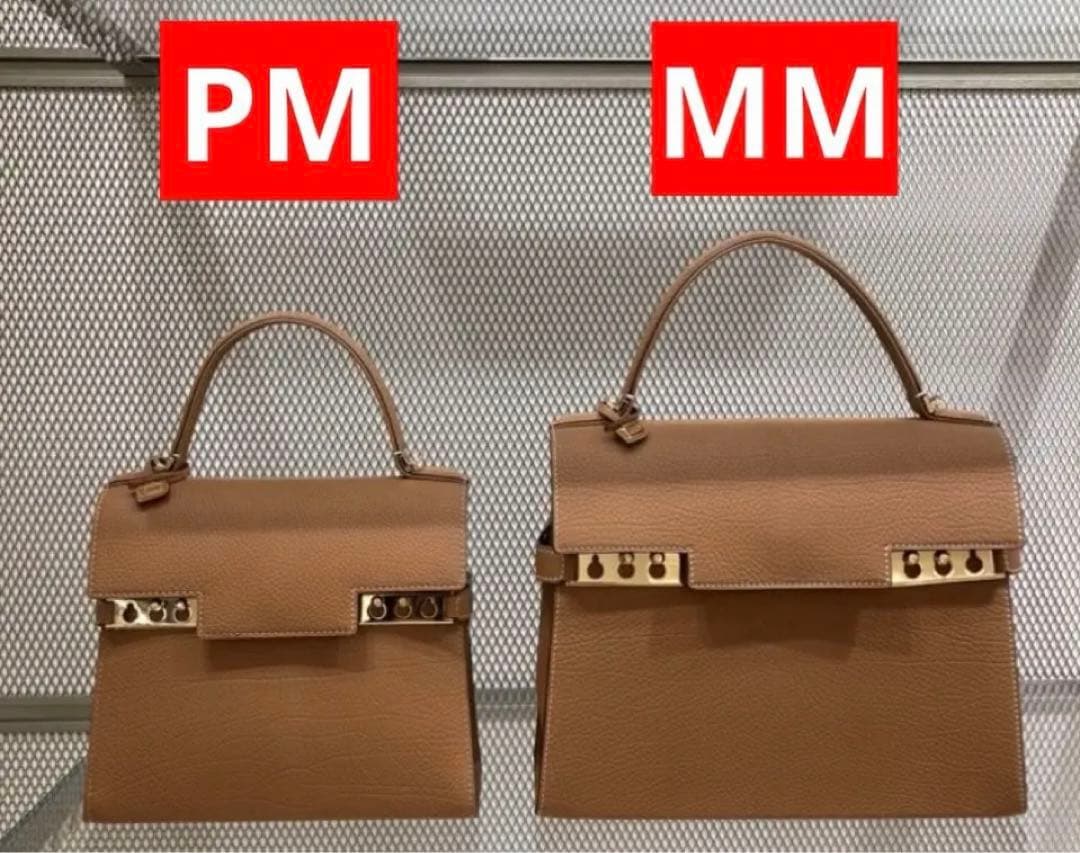 安心鑑定付超美品デルヴォータンペートベジタルクリスピーカーフMM