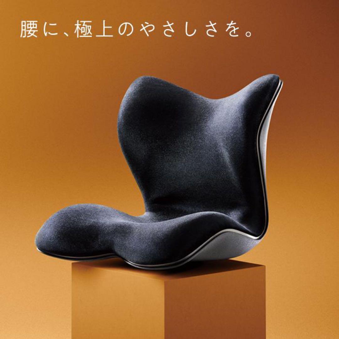 Style PREMIUM DX （スタイルプレミアムデラックス）