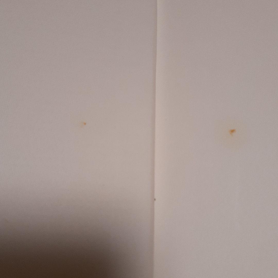 新版 茶花大事典 上巻・下巻　淡交社