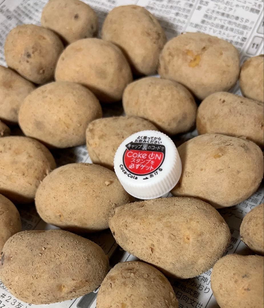 北海道 【十勝産】インカのめざめ 種芋① - メルカリ