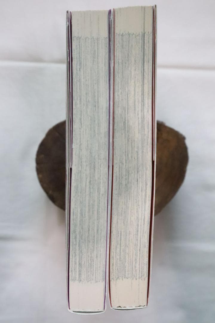 紅姉妹 耽美ロマン 3,4巻 2冊セット 如月次郎 団鬼六