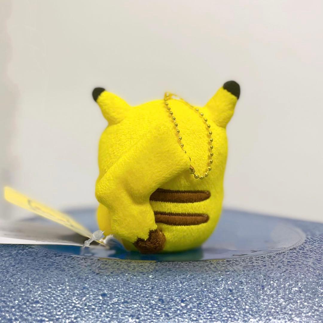 24じかんポケモンCHU ナガノ ピカチュウ マスコット - メルカリ