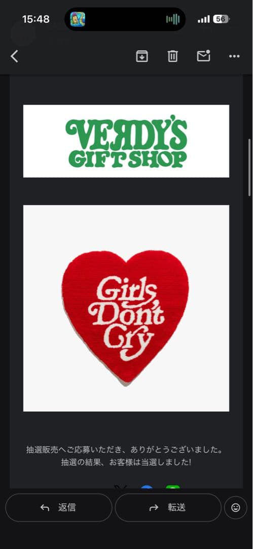 【最安値】Girls Don't Cry ラグ