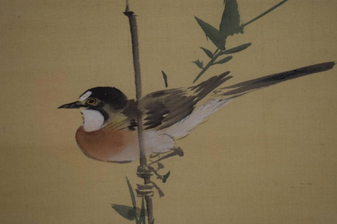 模写/酒井抱一/菊花小禽図/布袋屋掛軸HI-246 菊小禽図 文化遺産オンライン