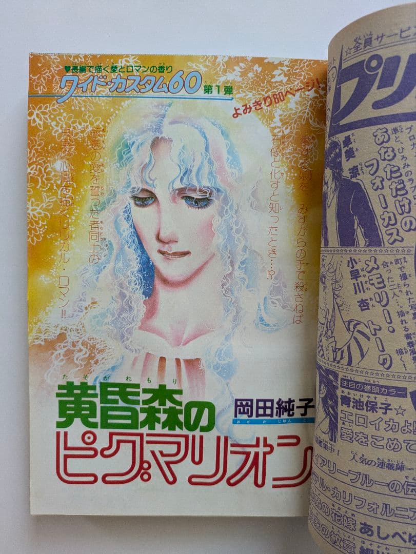 プリンセス 昭和58年1月 新年特大号 秋田書店 昭和レトロ - メルカリ