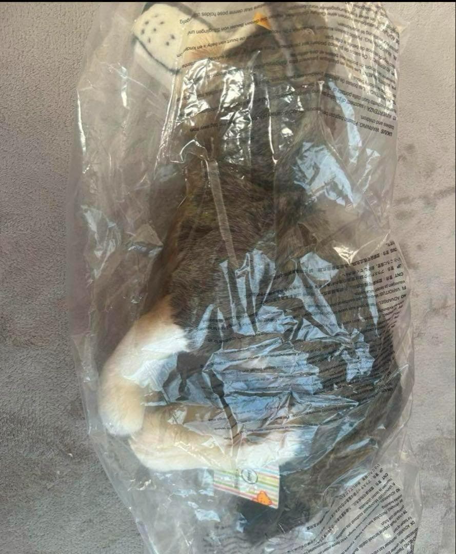 正規品 steiff シュタイフ オオカミ 40cm 狼 ぬいぐるみ - メルカリ