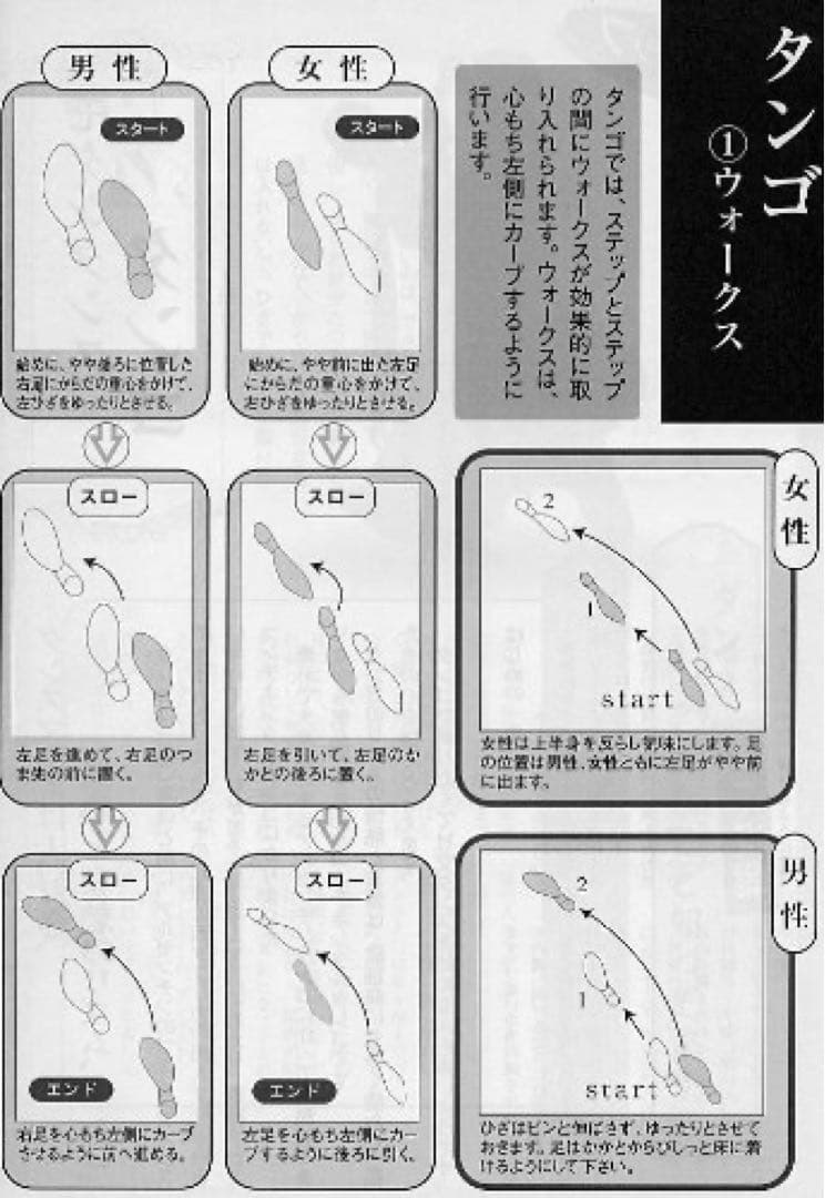 ＤＶＤとテキストで学ぶ！社交ダンス入門講座基本ステップ編（ＤＶＤ2＋テキスト1）