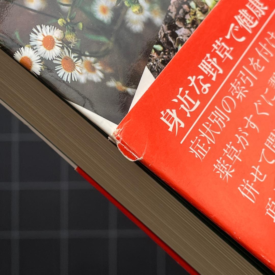 家庭で使える薬草107種 中村臣市郎 - メルカリ