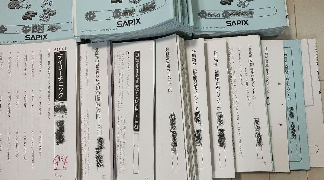 SAPIX 6年生国語セット - メルカリ