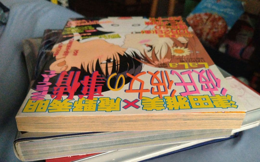 彼氏彼女の事情 SPECIAL 月刊LaLa臨時増刊 - メルカリ