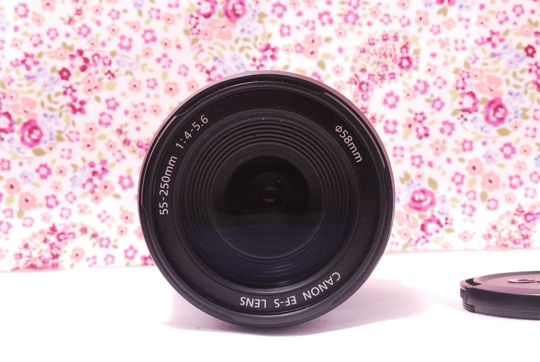【超美品】Canon EF-S 55-250mm f/4-5.6 レンズ