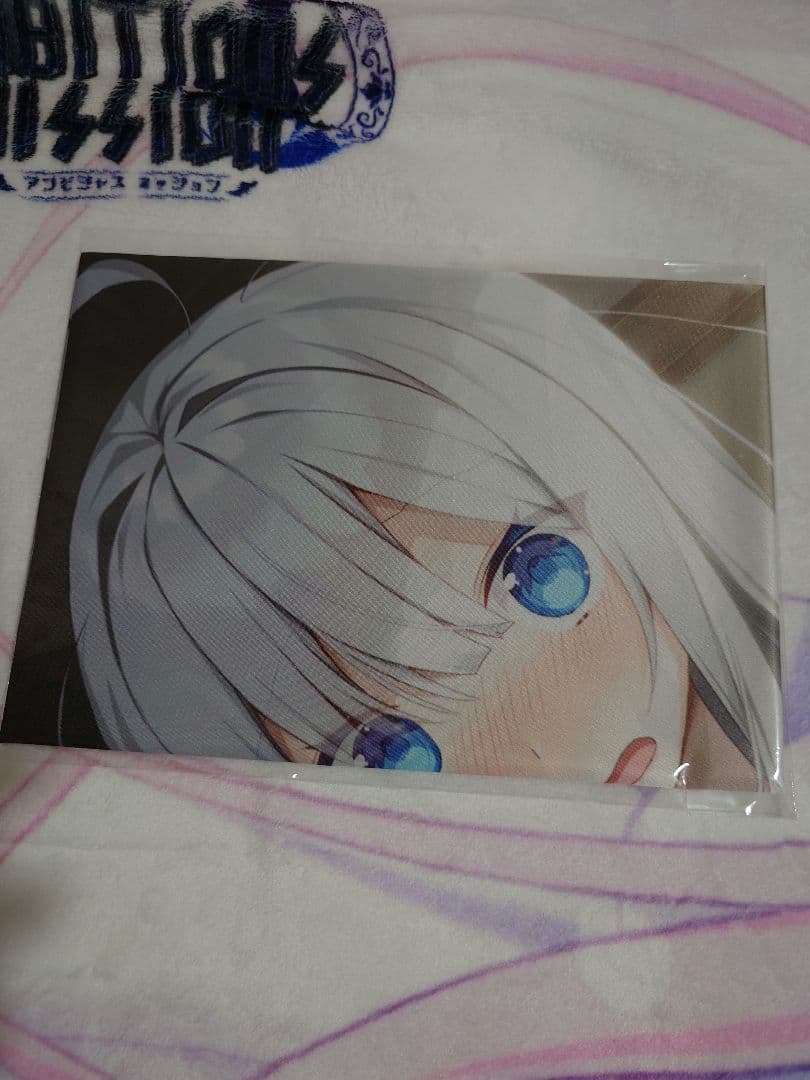 GINKA 抱き枕カバー付き特装版（switch）ゲーマーズ特典付