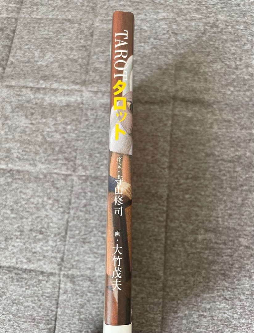 絶版／初版】「タロット」寺山修司（序文）大竹茂夫（画） - メルカリ