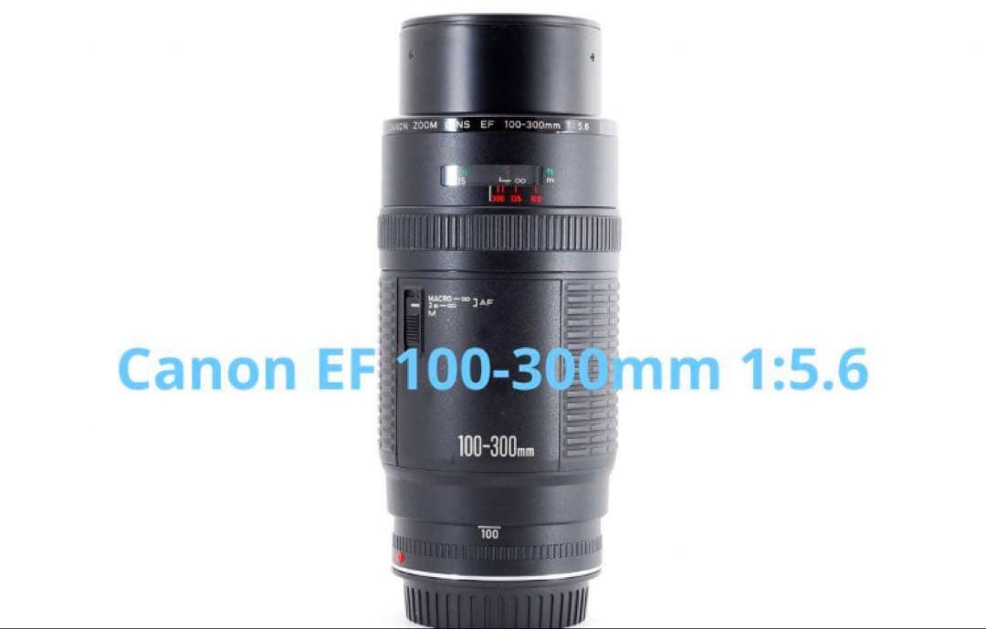 キャノン/超望遠レンズ/Canon EF 100-300mm F5.6 - メルカリ