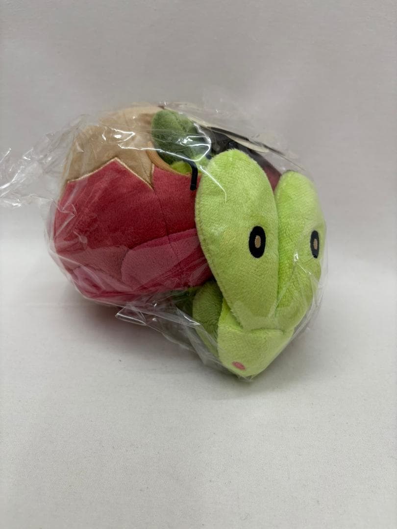 ポケモン 海外限定 カジッチュ ぬいぐるみ 果然一派 - メルカリ