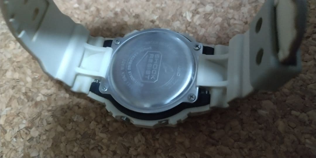 G-SHOCK DW-5600 サソリ スコーピオン カシオ