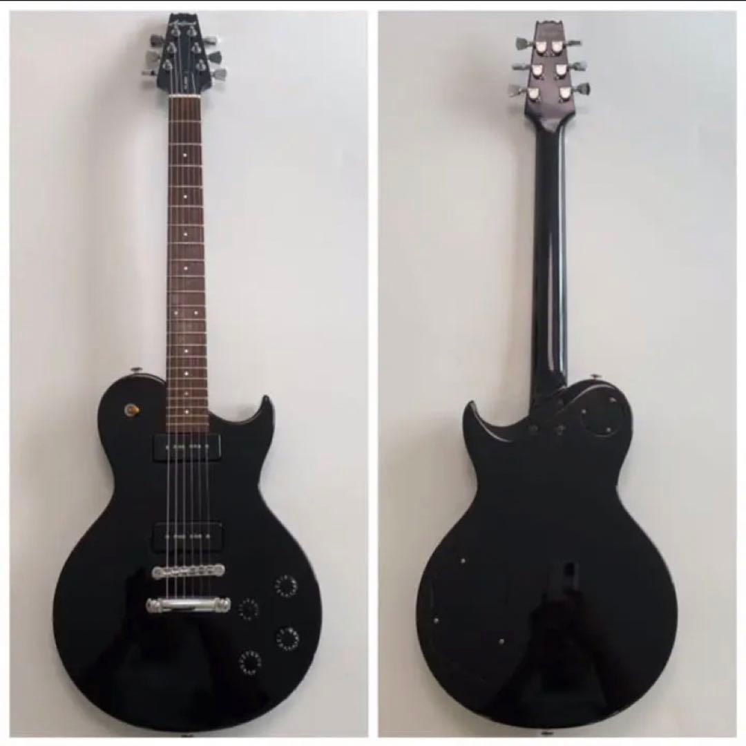 90年代激レアモデル】Aria ProⅡ PE-JR600 遠藤ミチロウ - メルカリ