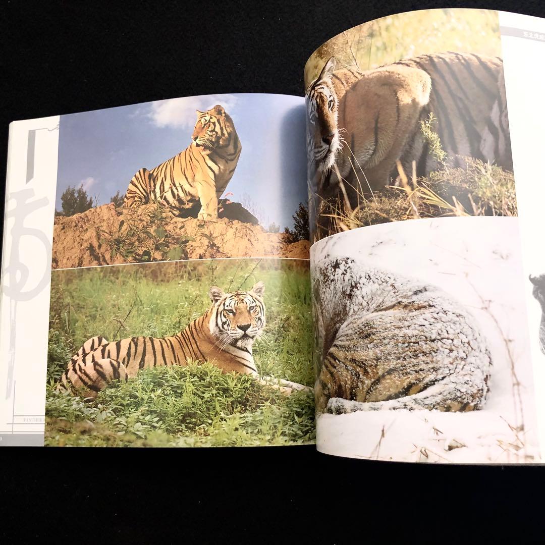 アムールトラ（シベリアトラ）写真集「東北虎 上・下巻」2冊セット 刘丹 撮影