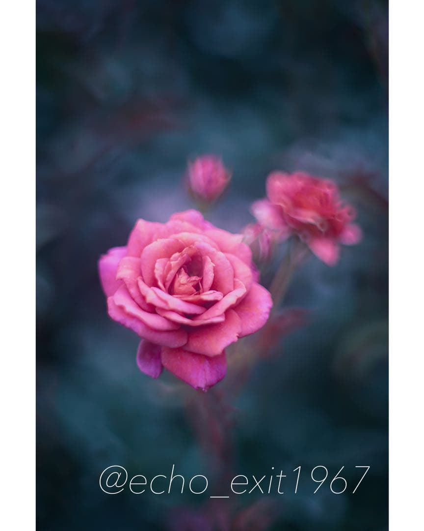 宝石レンズ_Super_Takumar_前期型 55mm_f1.8_aj - メルカリ