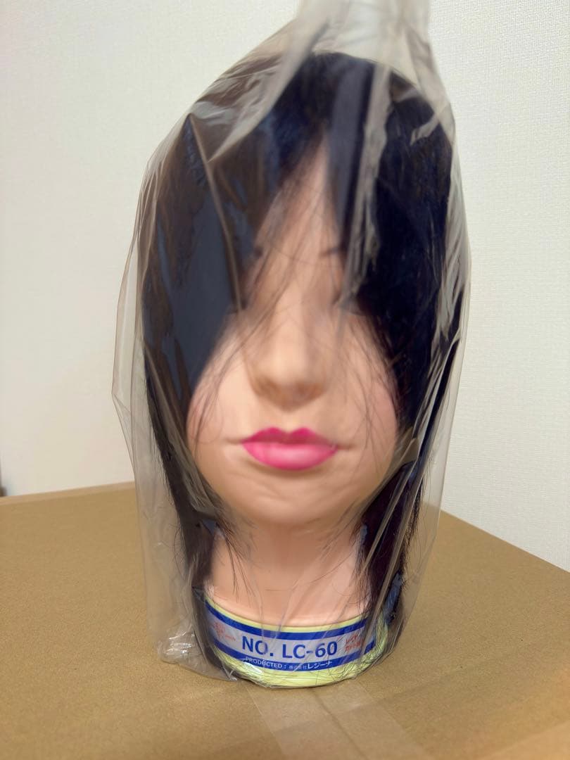 国家試験用カットウィッグ6体セット - メルカリ