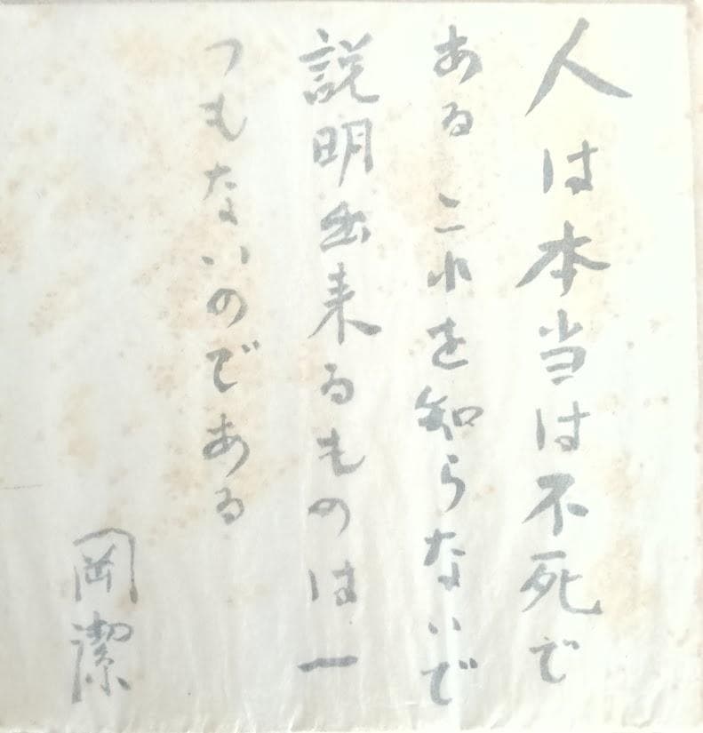 【新品での長期保存品／輸送函／帯付／月報５冊揃い／付録　すべて揃】岡潔集　全5冊
