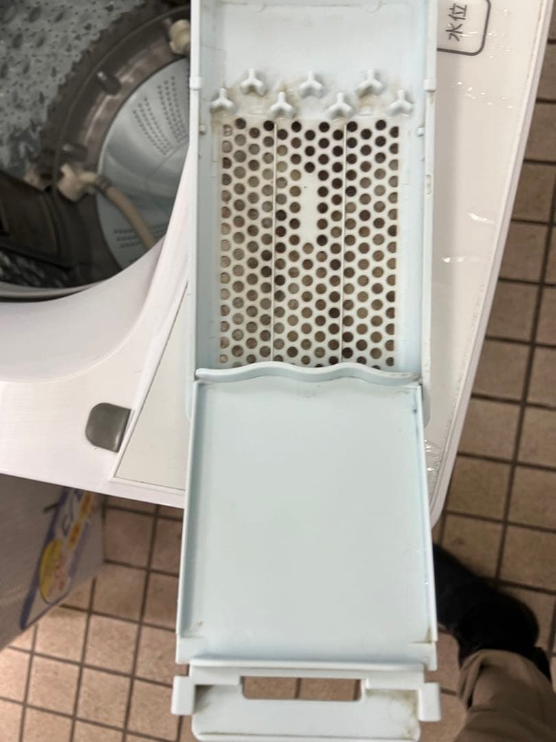 ホワイト縦型洗濯機本体　ニトリ2024年製　6.0kg