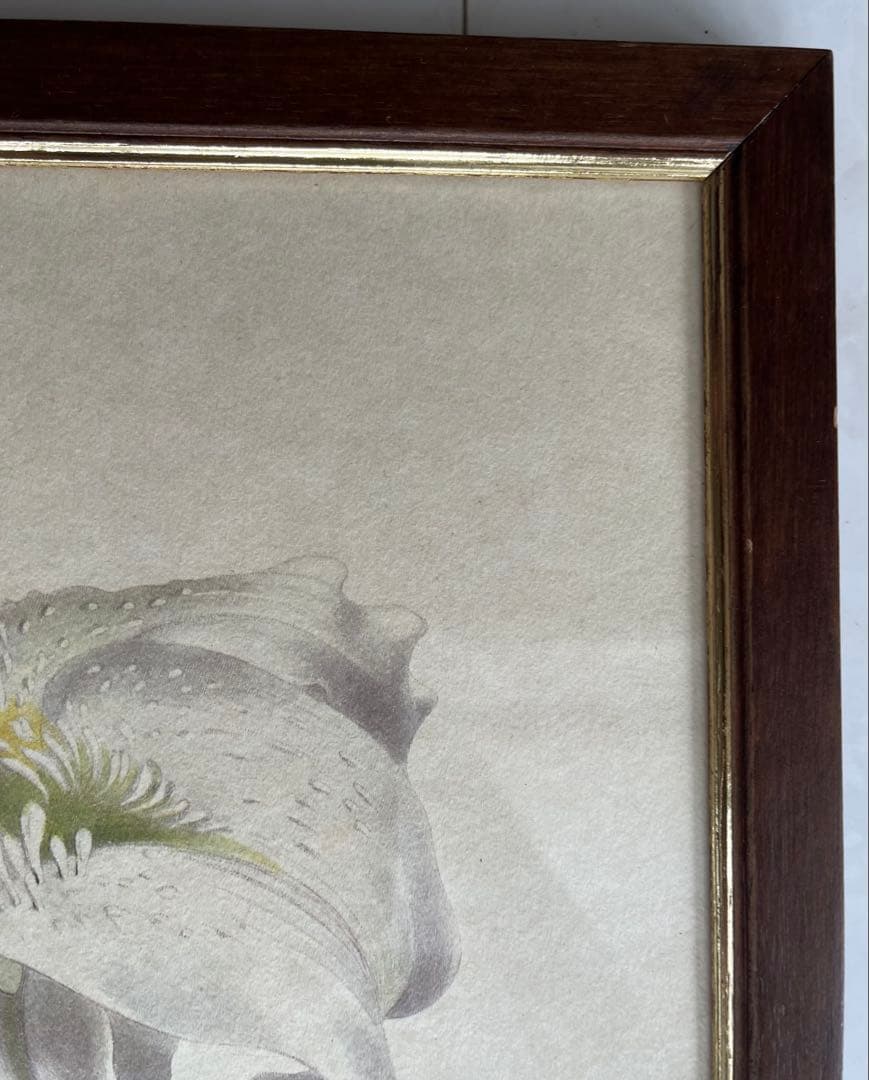 百合の絵画 ゴールド入り木製フレーム イタリアFIORI製 - メルカリ