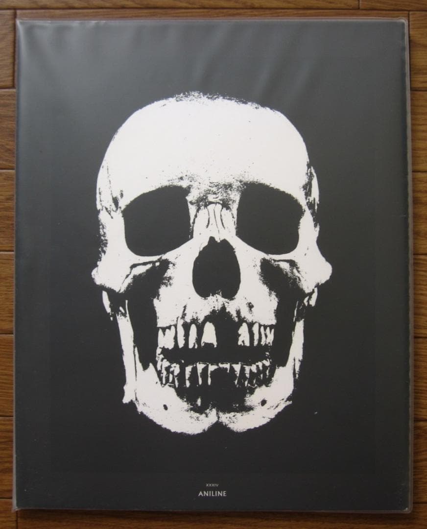 Poisons+Remedies Damien Hirst ダミアン・ハースト 作品集「Poisons + Remedies／Damien Hirst」 | 古本トロニカ 通販