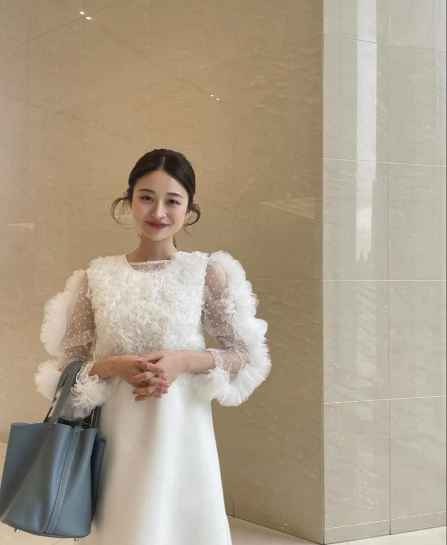 Bibiy. CAMILLE SHEER TOP WHITE 新品 - メルカリ