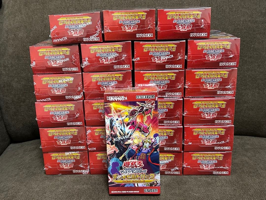 遊戯王　デッキビルドパック　ワイルドサバイバーズ　24box未開封シュリンク付き 遊戯王OCG デュエルモンスターズ デッキビルドパックワイルド