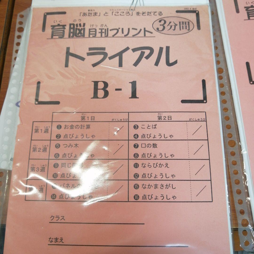 育脳トライアル　頭をよくする教材 育脳トライアル ～1日10分程度で始められる「育脳トライアル」～ - 育