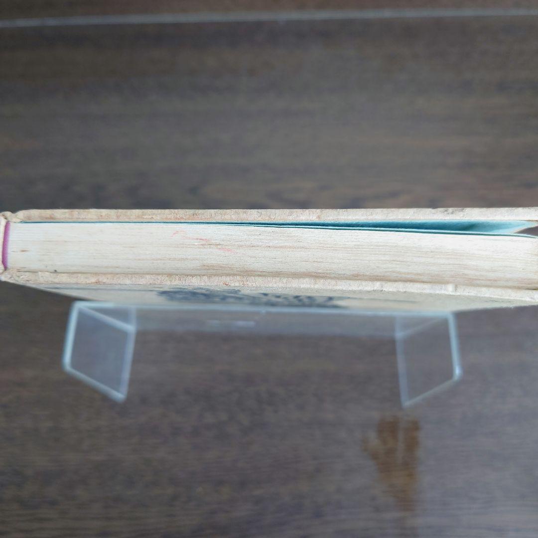 【超希少】本の中に生きる女たち