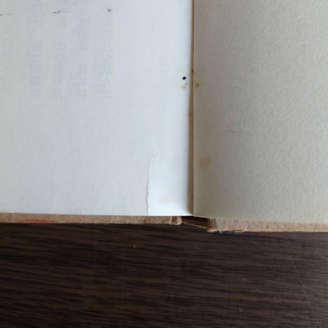 【超希少】本の中に生きる女たち