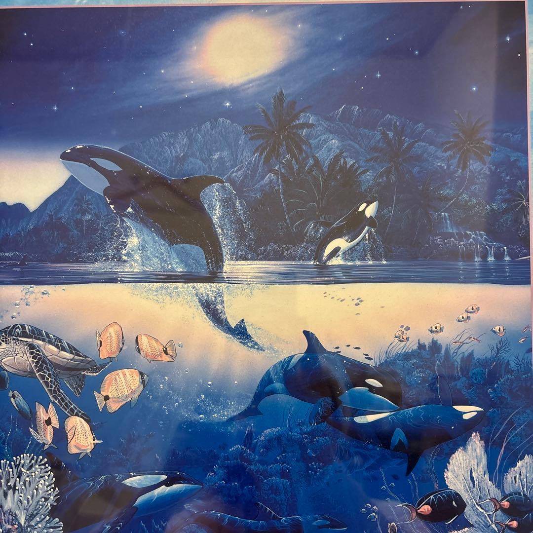 クリスチャン・リース・ラッセン ハーモニー 額装 ポスター イルカ 海