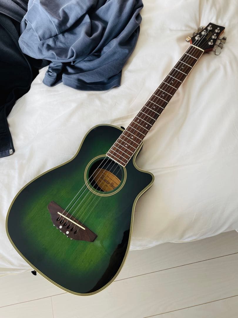 たいきたいきん様専用】マスタークラフト ミニエレアコギター - メルカリ